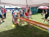 shuffleboard